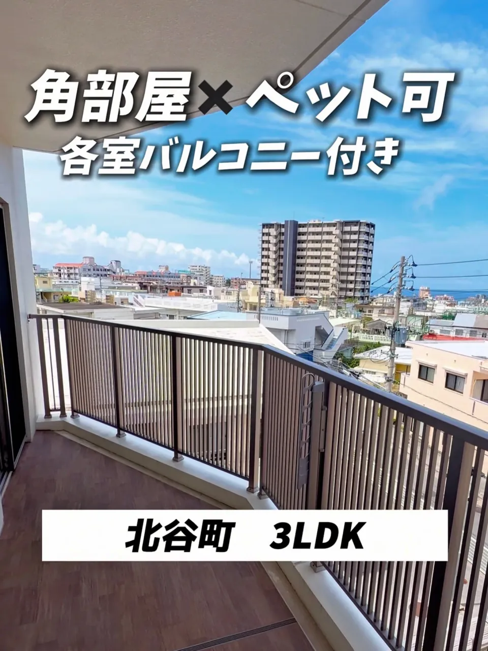 🏠【北谷・ペット可海を望む角部屋】