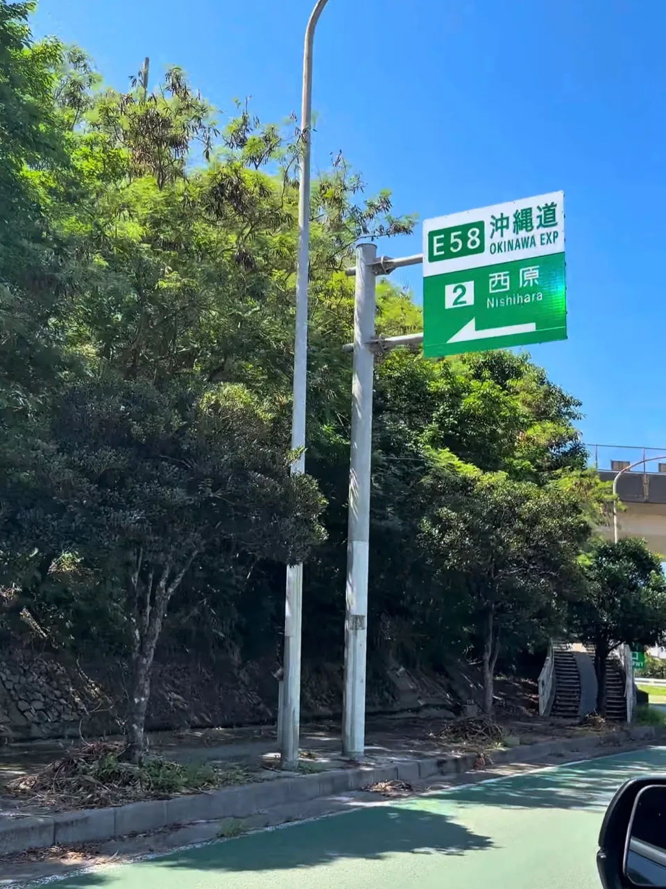 🐾【ペットと暮らす、眺望も妥協しない暮らし✨】