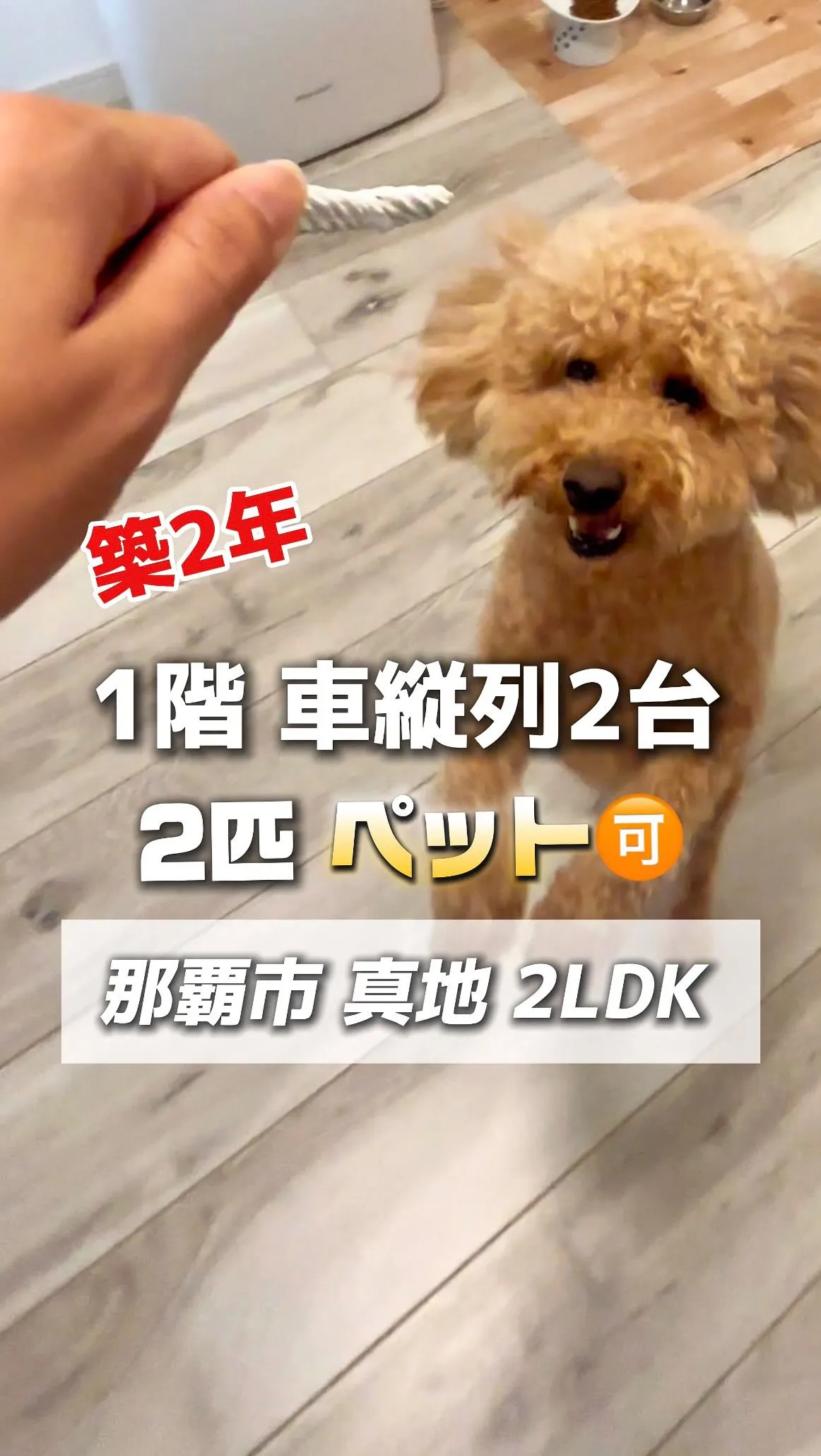 【ウィングシャトー真地ヒルズ那覇市真地】